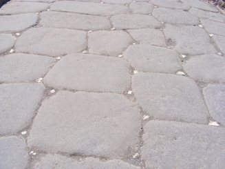 foto1